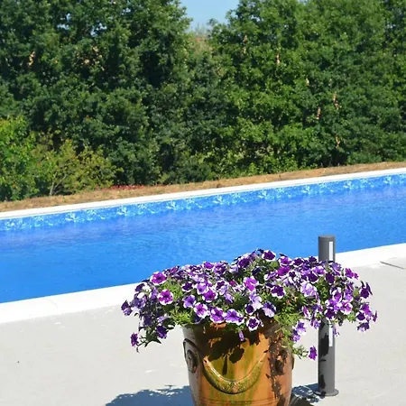 Caufour Bed and Breakfast Ledat