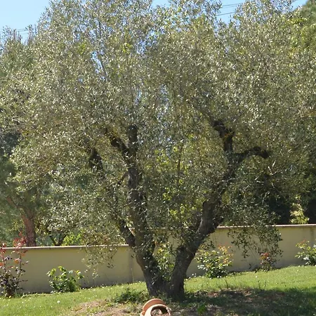 Bed and Breakfast Caufour