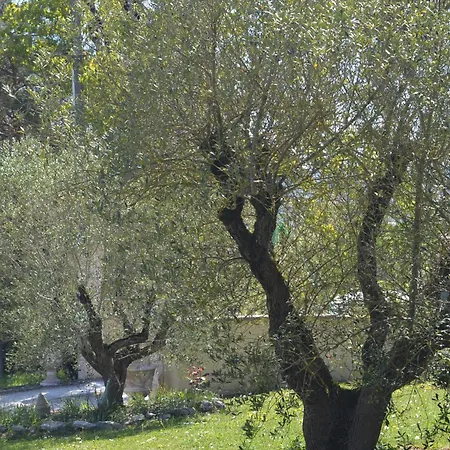 Caufour Panzió *