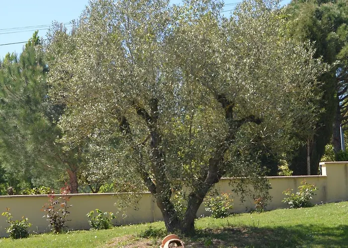 Nocleg ze śniadaniem Caufour